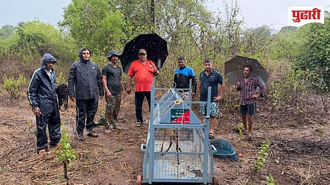 Dapoli Wildlife Rescue