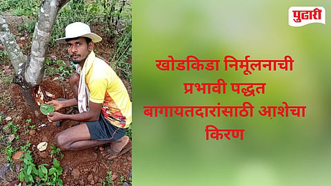 Rajapur Farmer Innovation