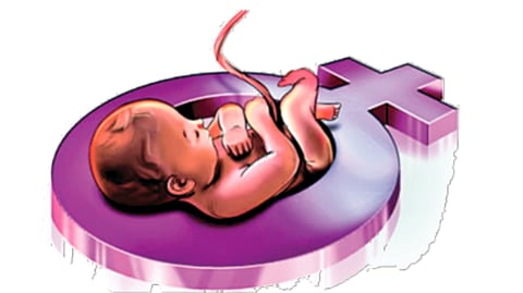 Birth Rate Imbalance | 