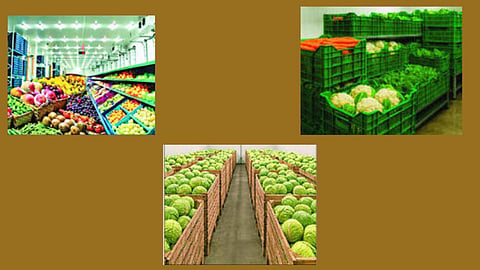 Nashik agri market