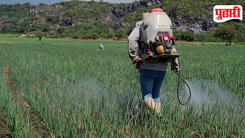 Fertilizer