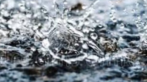 Soil Smell After Rain: पाऊस पडताच मातीचा सुगंध का येतो? जाणून घ्या यामागचं विज्ञान