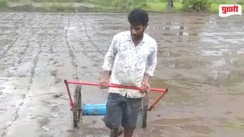 Rice Farming Crisis