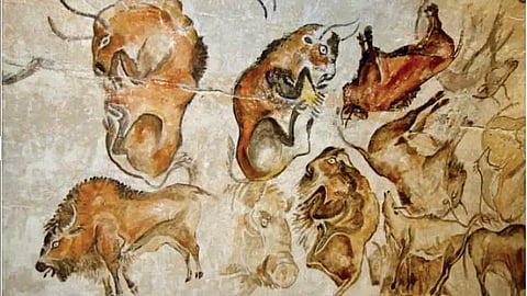 Ancient Human DNA |