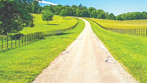 Ancient Roman Roads |