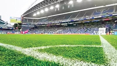 FIFA World Cup Grass Cost |