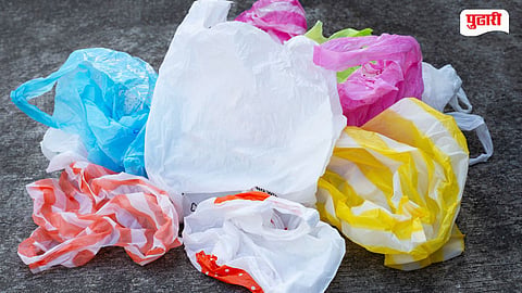 Plastic Seizure