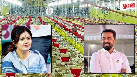 Poultry Farm | पोल्ट्री उद्योगाला मोठा दिलासा! वीज दरात सवलत, तसेच विविध प्रकारचे अनुदानही, मंत्री पंकजा मुंडे यांची घोषणा! 