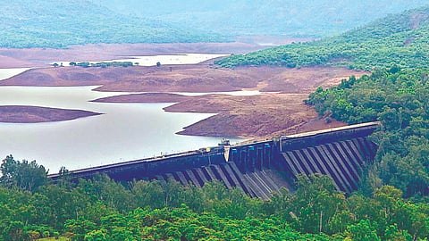 Koyna Dam: गतवर्षी पाणीच पाणी.. यावर्षी डोळ्यात पाणी