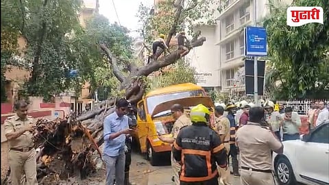 Tree Collapse School Van Chembur