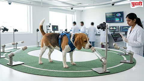 Dogs Detect Cancer