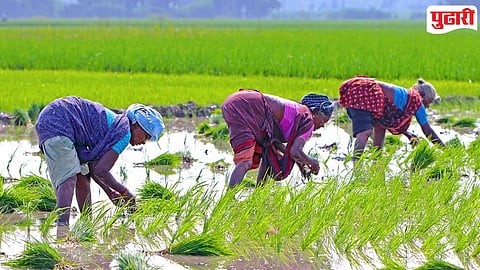 Women Farmer Certificate