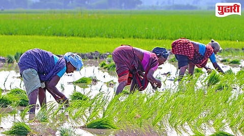 Maharashtra Women Farmers Empowerment Bill
