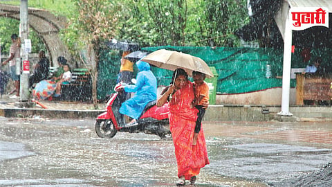 Rain