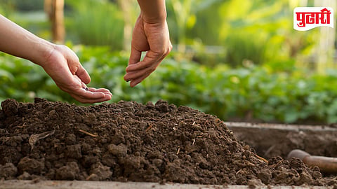 Sowing