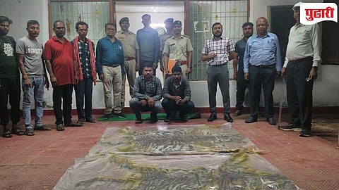 Tiger Skin Smuggling : पोलिसानेच होमगार्डसह केली वाघाच्या कातड्याची तस्करी, वनपरिक्षेत्राच्या अधिकाऱ्यांनी केले जेरबंद! 