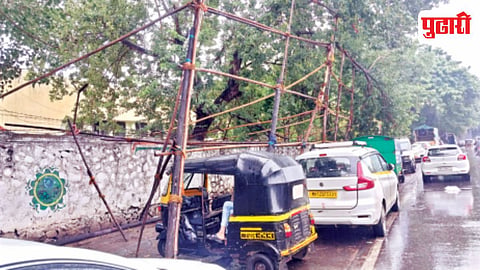 Illegal Advertisement Structures