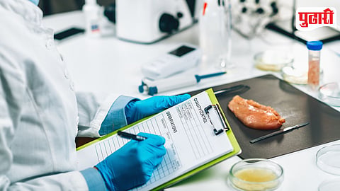 Food Adulteration