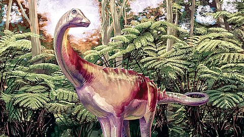 Antarctica Dinosaur Fossil |
