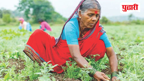 Maharashtra Women Farmers Bill