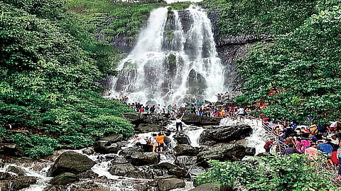 आंबोली मुख्य धबधबा असा पूर्ण क्षमतेने वाहू लागला आहे.
