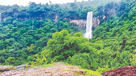 Satara Monsoon tourism: डोंगरदऱ्या हिरवळल्या; धबधबे फेसाळले  