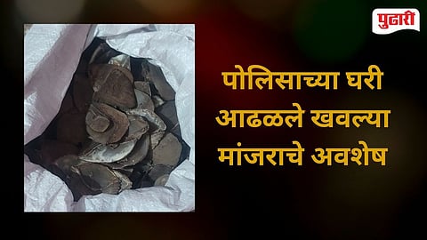 Gadchiroli Tiger Skin Smuggling Case 