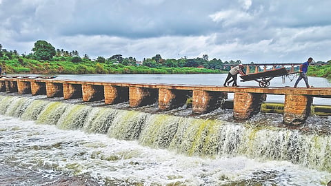 Sangli Rain: जिल्ह्यात दमदार; चांदोलीत अतिवृष्टी