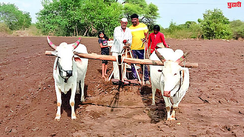 Jalna News