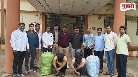  Parli Taluka Ganja Seizure