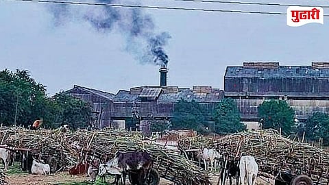 Sachin Ghayal Sugar Private Limited