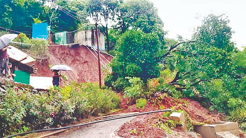 Mahabaleshwar Landslide: नावलीत भूस्खलन; ३ कुटुंबांचे स्थलांतर