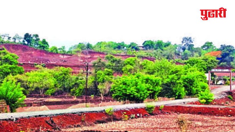 Oxygen Land Project