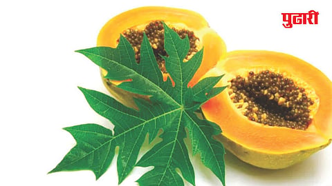 Affordable Cancer Medicine