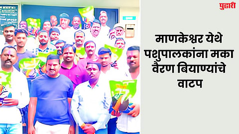 माणकेश्वर येथे पशुपालकांना मका वैरण बियाण्यांचे वाटप