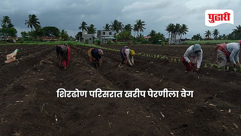 Shirdhon Kolhapur news : शिरढोण परिसरात खरीप पेरणीला वेग; पंचगंगेची वाढती पातळी पाहून शेतकऱ्यांची धावपळ