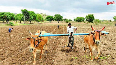 Beed News 