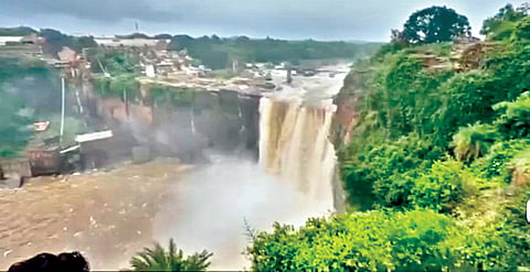 Gokak Waterfall: गोकाक धबधबा प्रवाहित