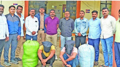 beed news