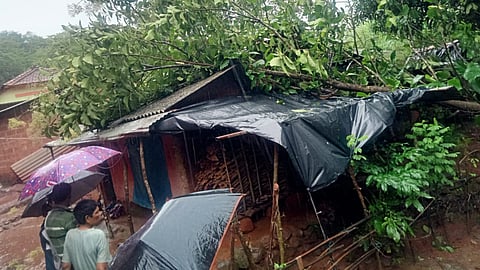 Sindhudurg Rain