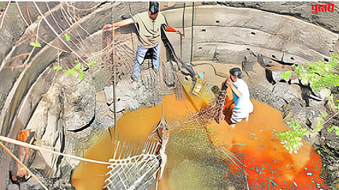 अजिंठा जंगलातील लांडग्याला जीवदान