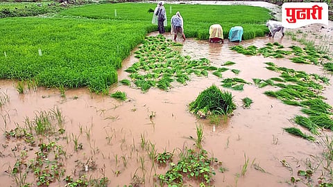 Agricultural activities Thane