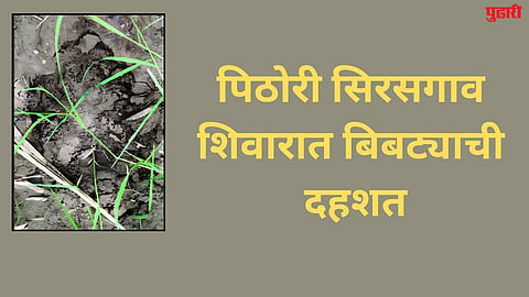 jalna news
