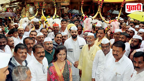 Alandi Palkhi Bullock Pair