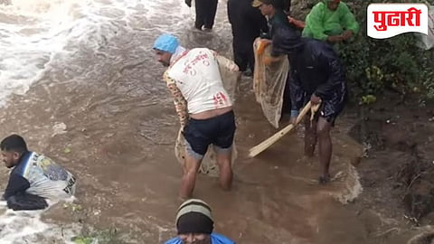 Monsoon fish catch