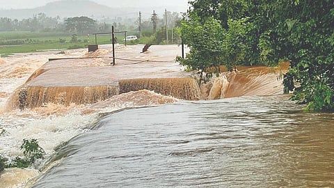 Sangli Rain: कोयना-चांदोली धरणे वेगाने भरू लागली