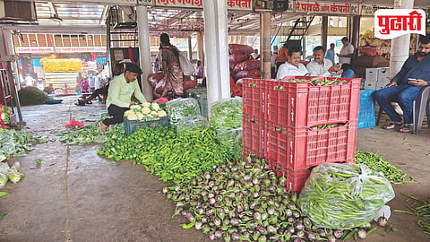 Market Yard Vegetable