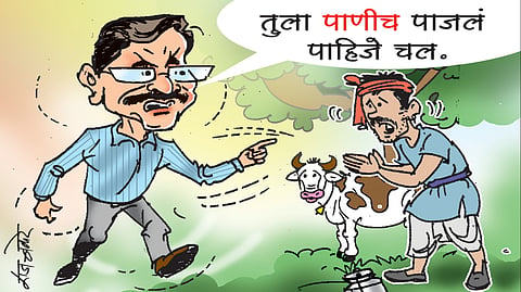 पहिला चहा | दुधात भेसळ, तर गाय जाईल...