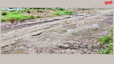 Kharif crops