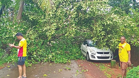 Ratnagiri Rain update